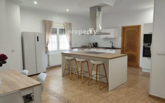 Casa con piscina, terreno, barbacoa y pozo en Pedro Muñoz